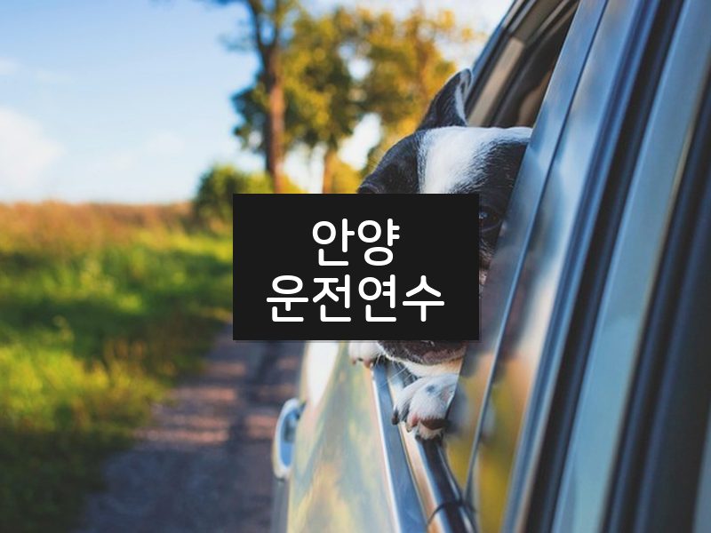 안양운전연수 후기