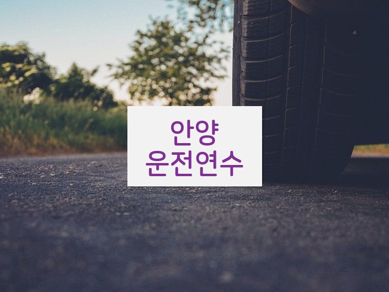 안양운전연수 후기