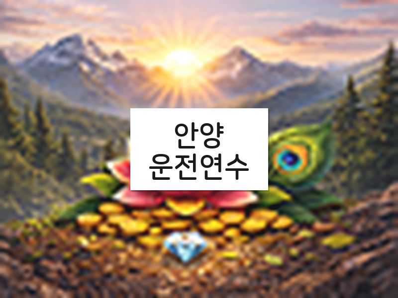 안양운전연수 후기