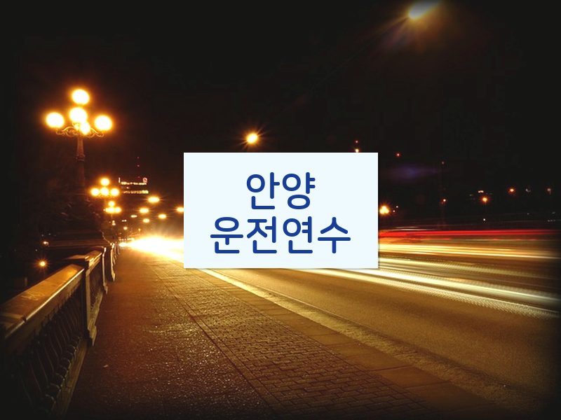 안양운전연수 후기