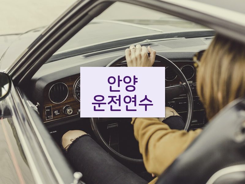 안양운전연수 후기
