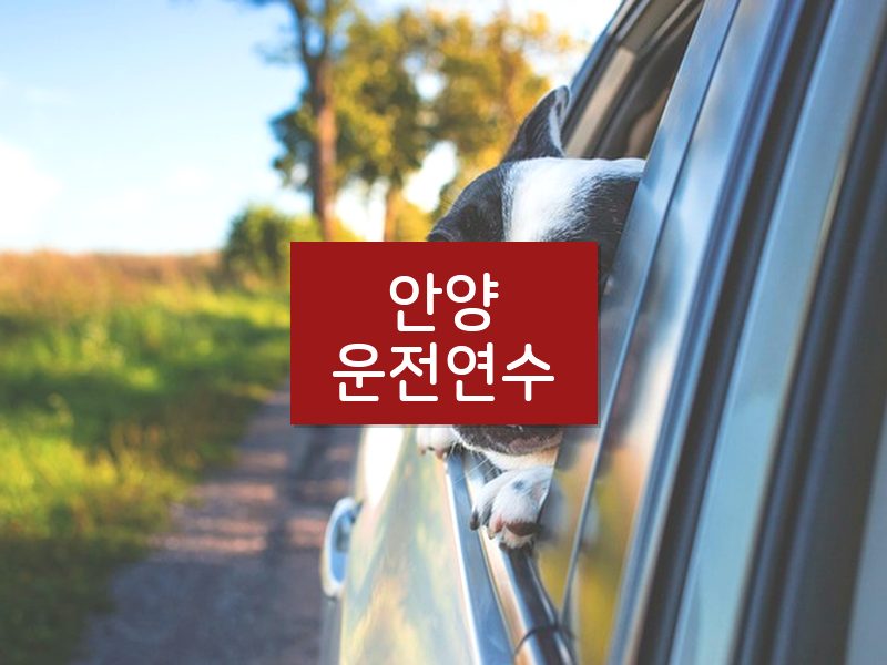 안양운전연수 후기