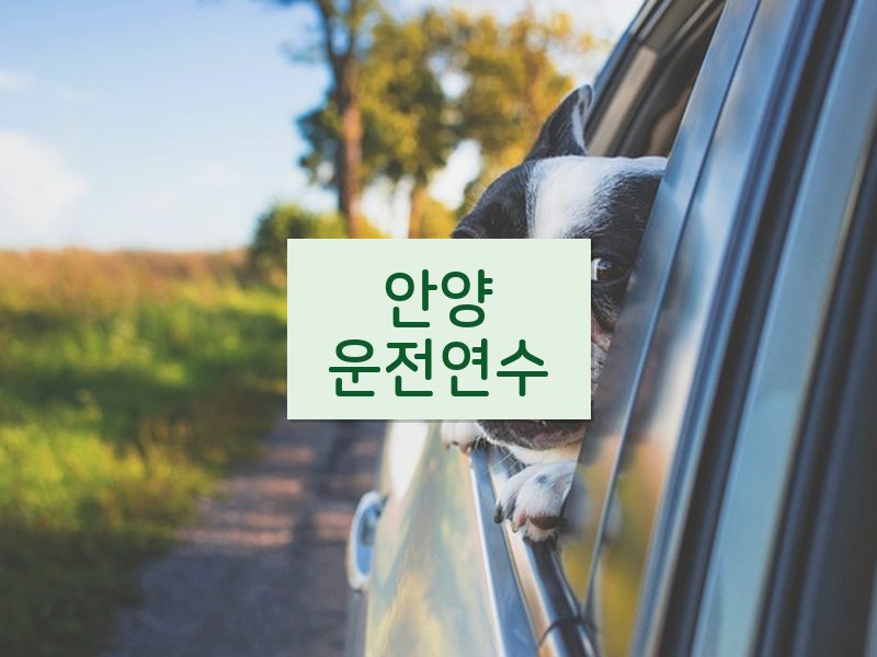 안양운전연수 후기