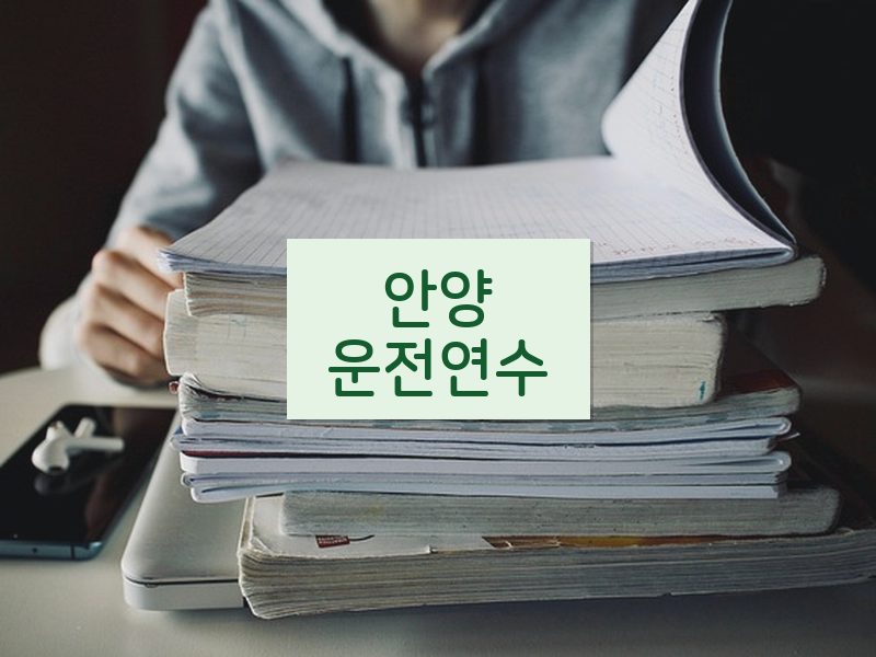 안양운전연수 후기