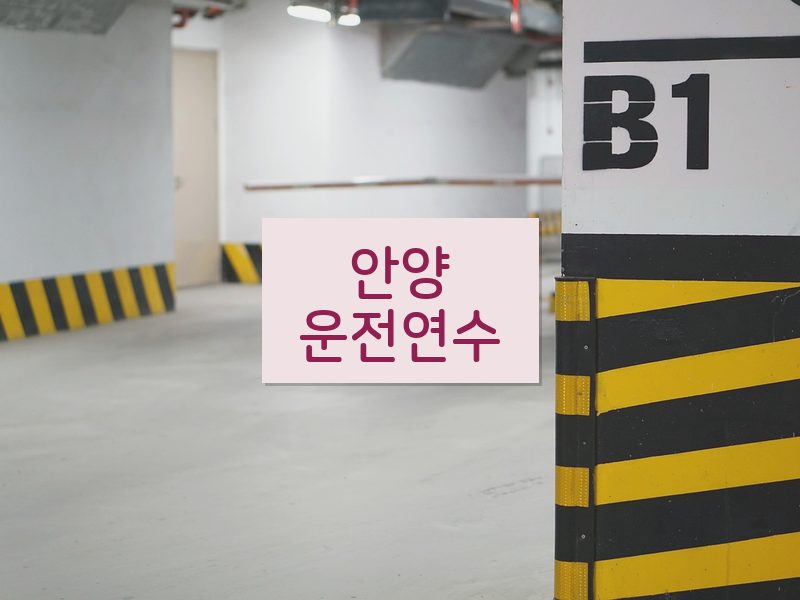 안양운전연수 후기