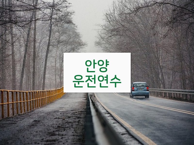 안양운전연수 후기
