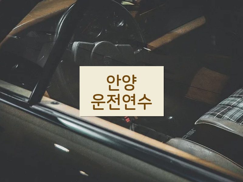 안양운전연수 후기
