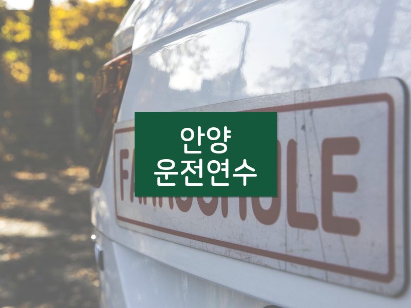 안양운전연수 후기