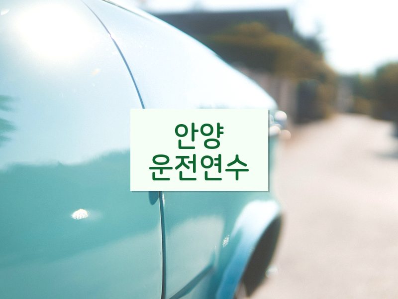 안양운전연수 후기