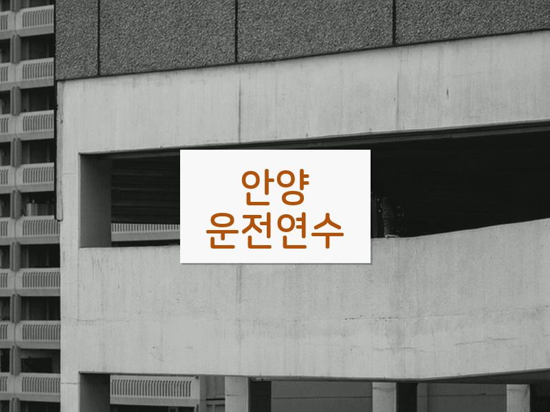 안양운전연수 후기