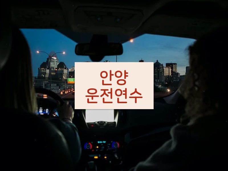 안양운전연수 후기