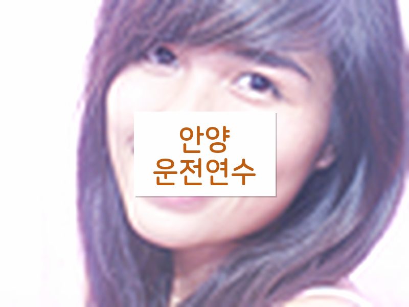 안양운전연수 후기