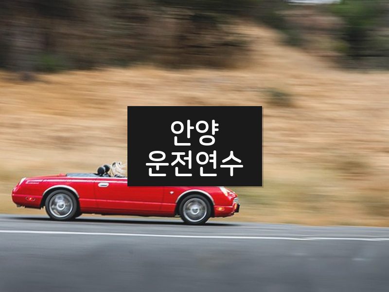 안양운전연수 후기