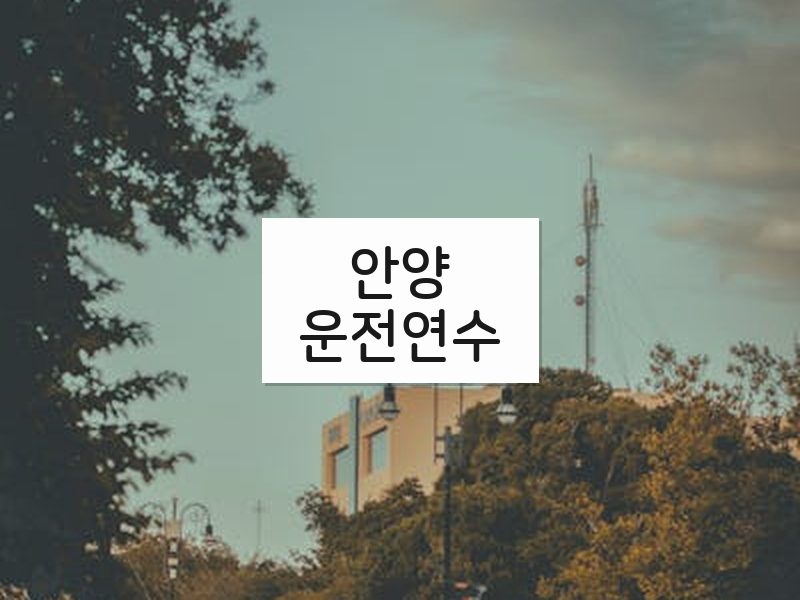 안양운전연수 후기
