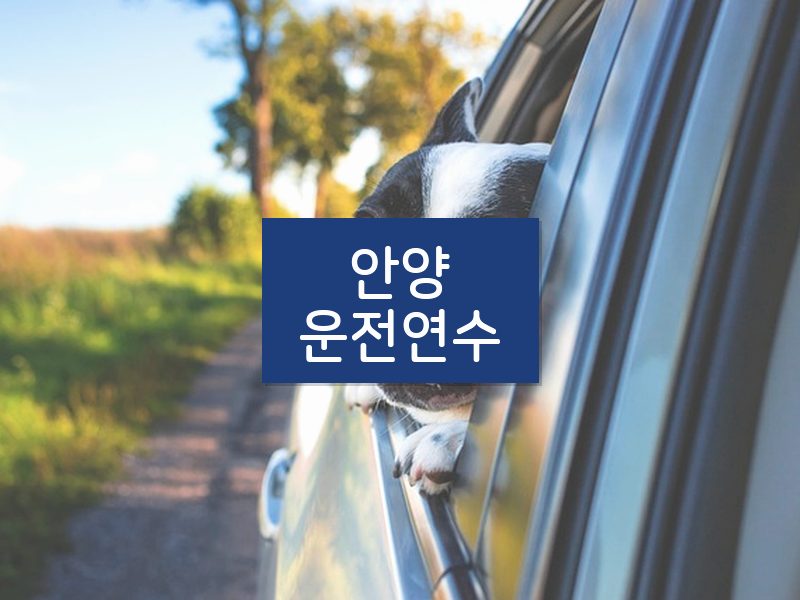 안양운전연수 후기