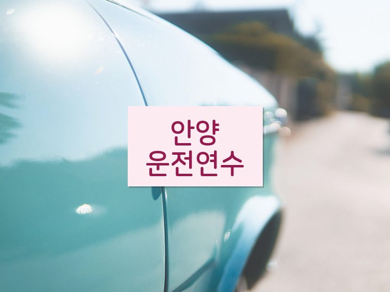 안양운전연수 후기