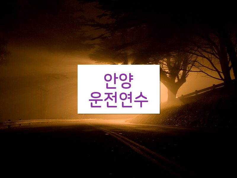 안양운전연수 후기