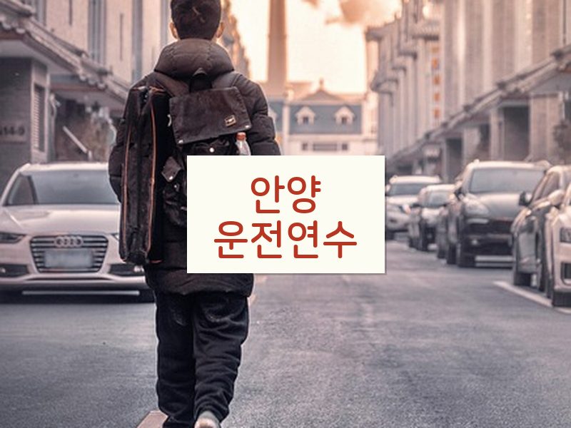 안양운전연수 후기