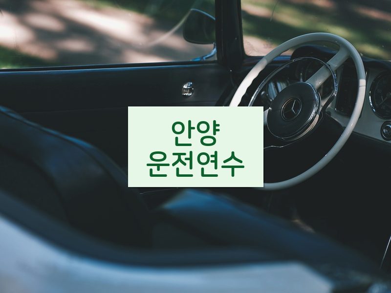 안양운전연수 후기