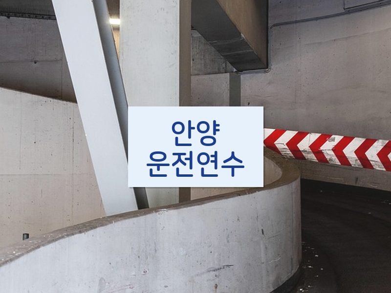 안양운전연수 후기