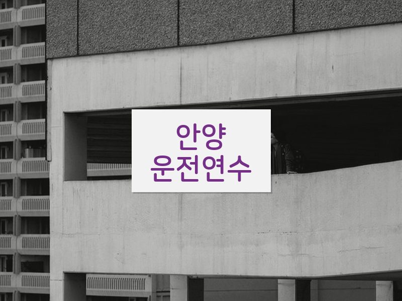 안양운전연수 후기