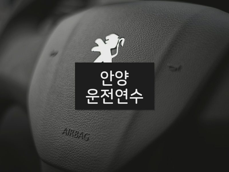 안양운전연수 후기