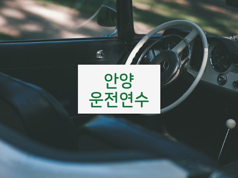 안양운전연수 후기