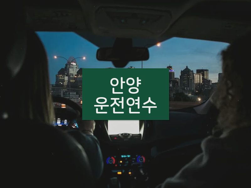 안양운전연수 후기