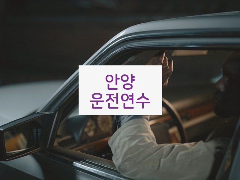안양운전연수 후기