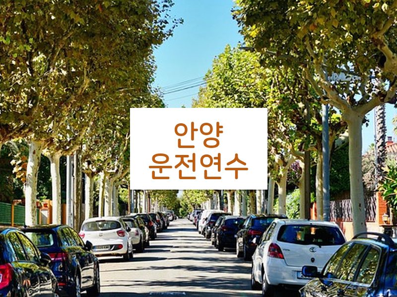 안양운전연수 후기