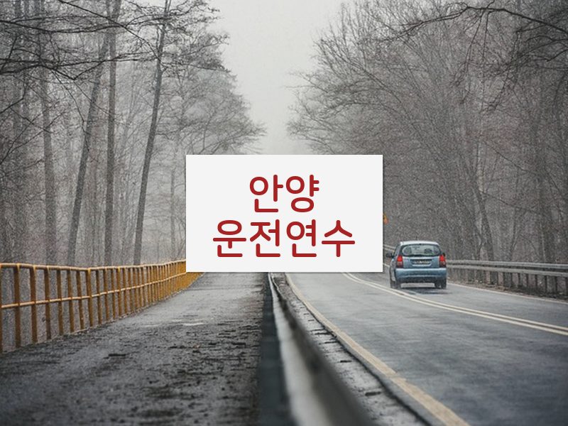 안양운전연수 후기