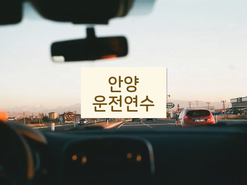 안양운전연수 후기