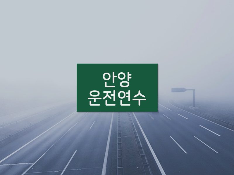 안양운전연수 후기