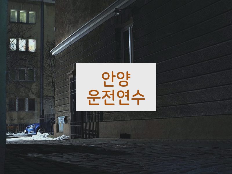 안양운전연수 후기
