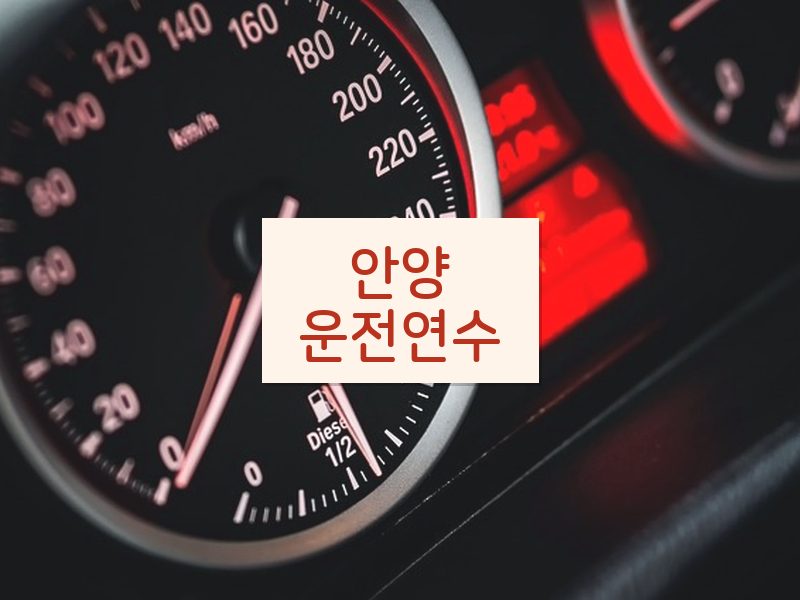 안양운전연수 후기