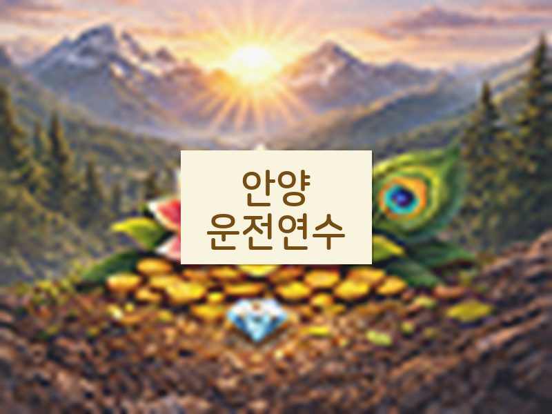 안양운전연수 후기