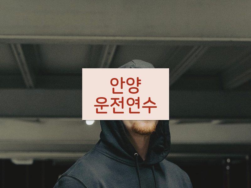 안양운전연수 후기