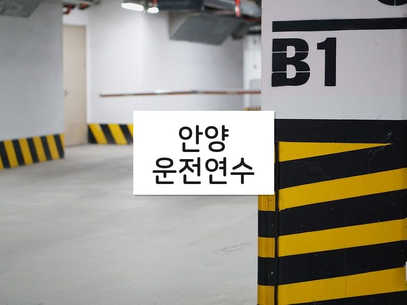 안양운전연수 후기