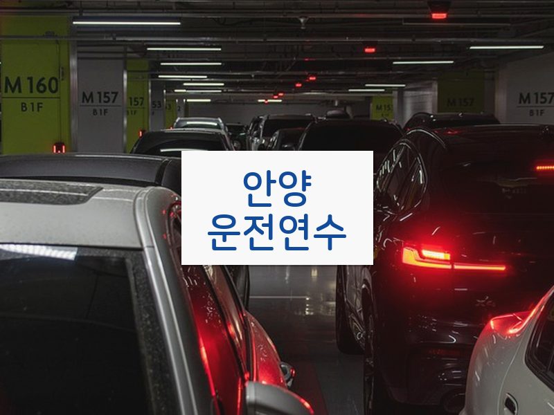 안양운전연수 후기