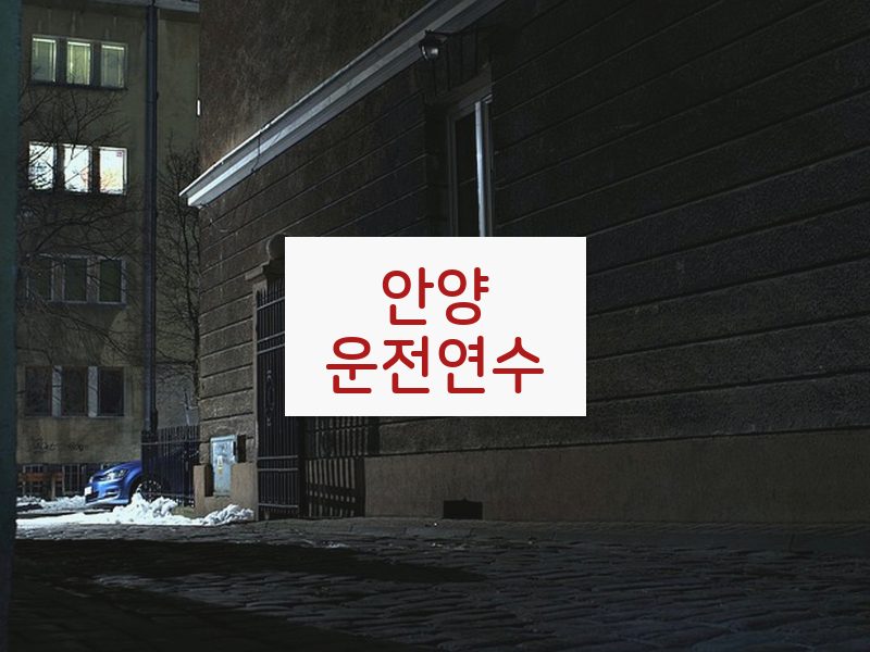 안양운전연수 후기