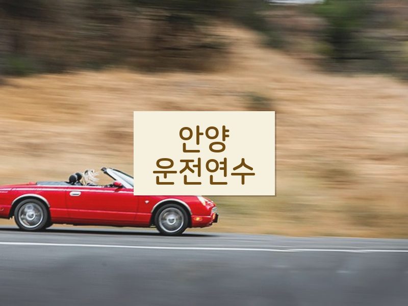 안양운전연수 후기