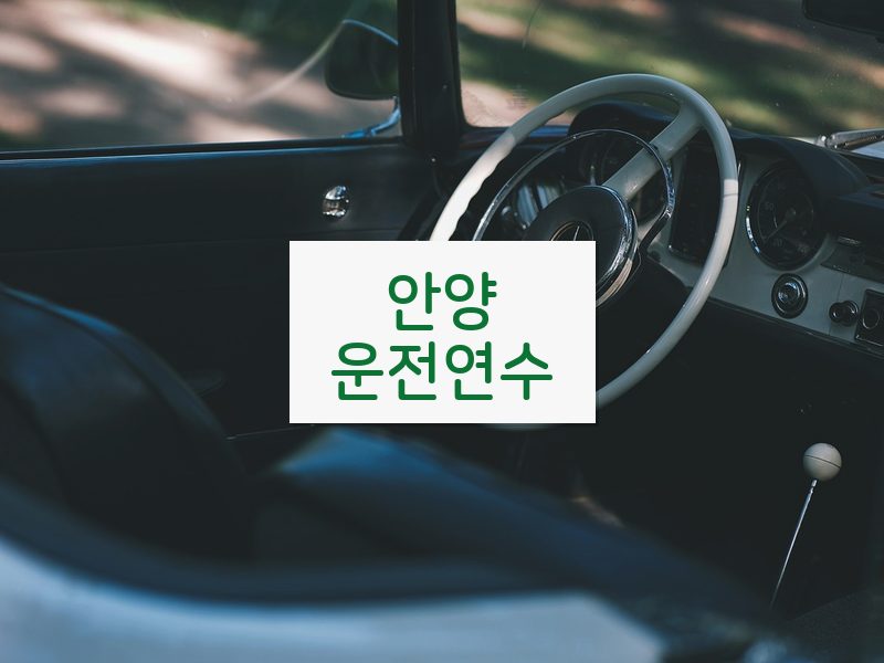 안양운전연수 후기