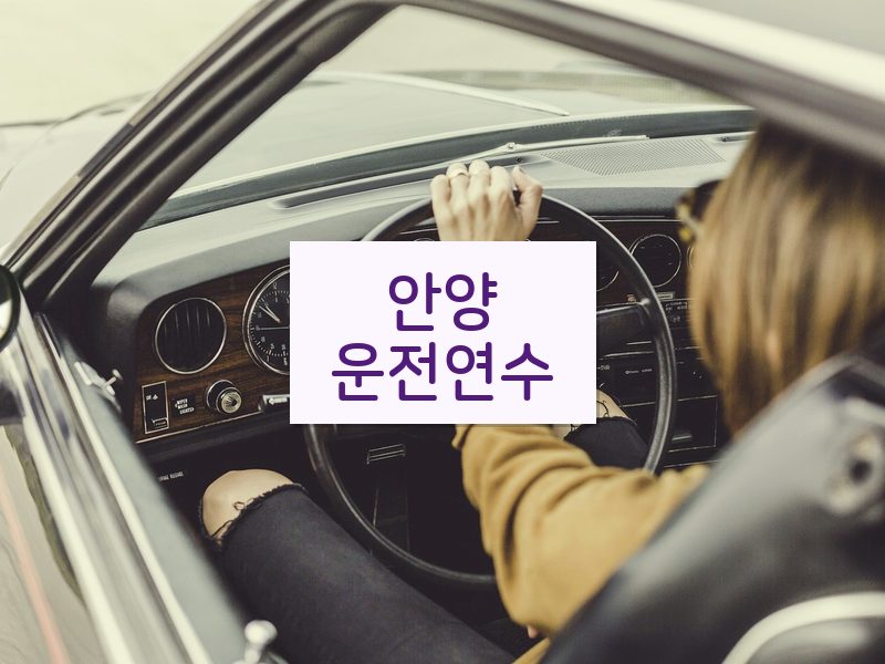 안양운전연수 후기