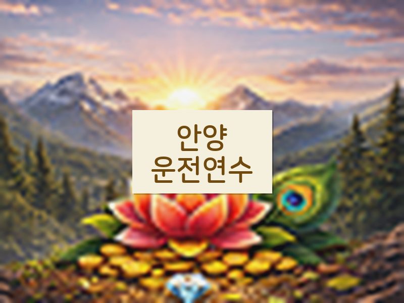 안양운전연수 후기