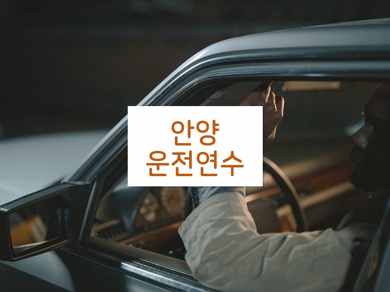 안양운전연수 후기