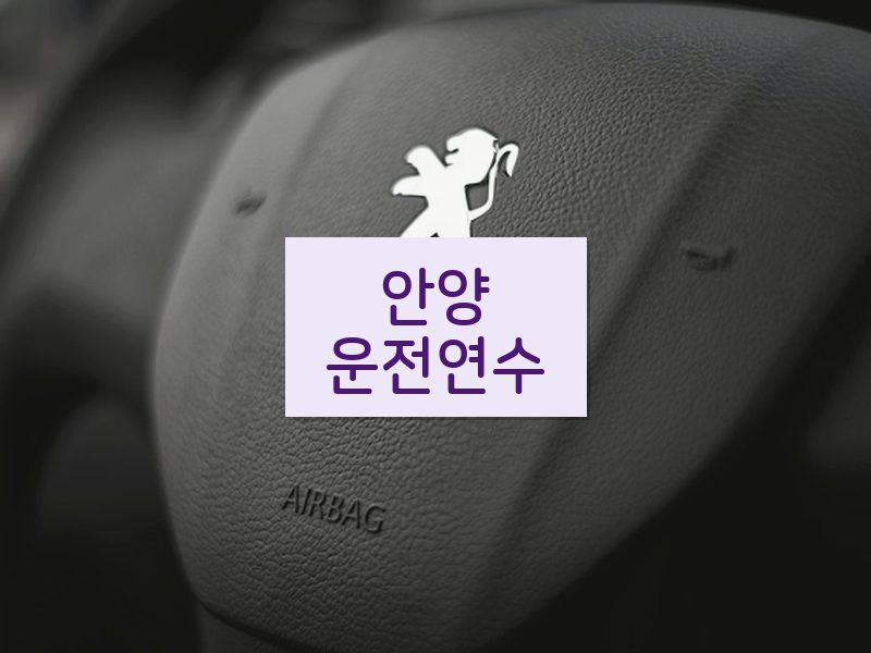 안양운전연수 후기