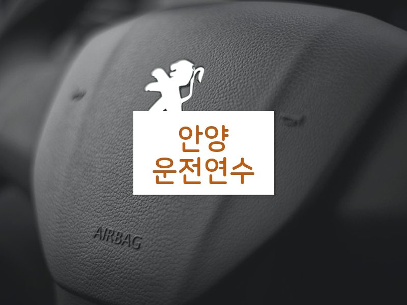 안양운전연수 후기