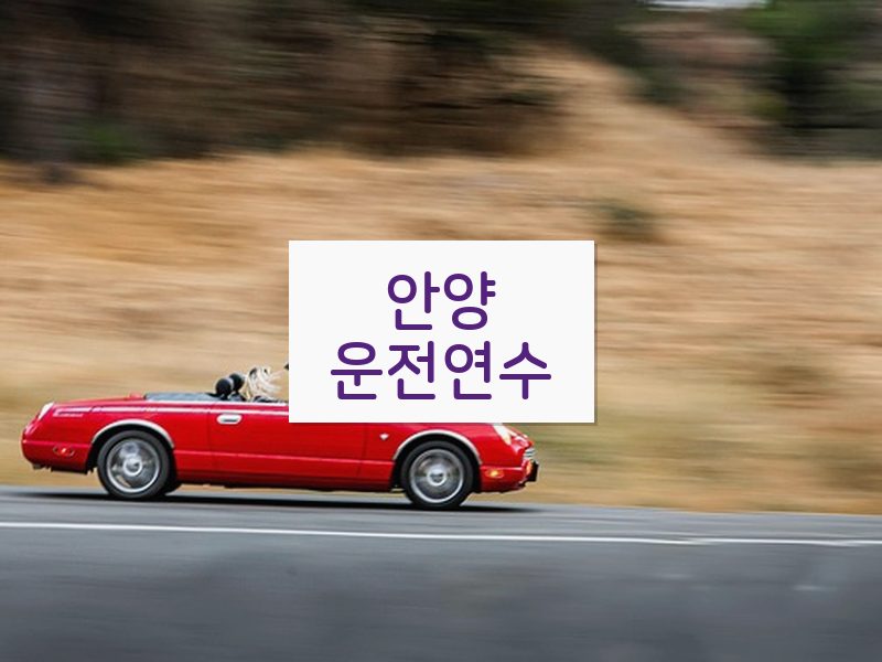안양운전연수 후기