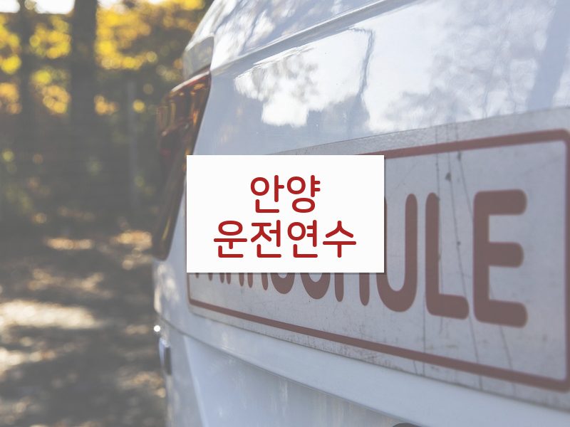 안양운전연수 후기