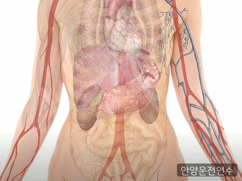 안양운전연수 후기